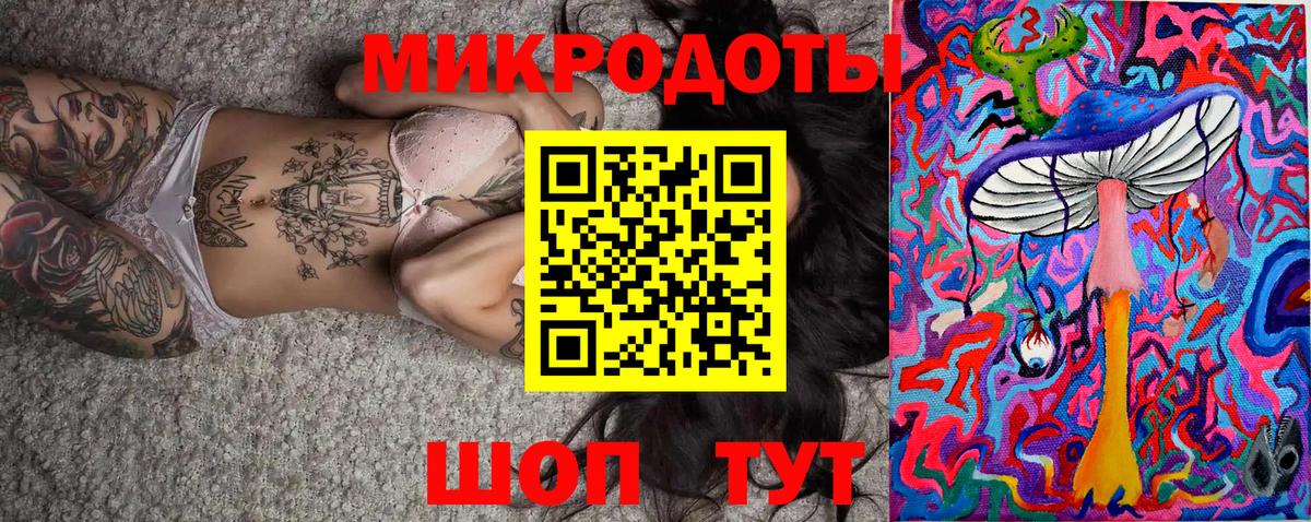 Псилоцибиновые грибы Psilocybe Барнаул